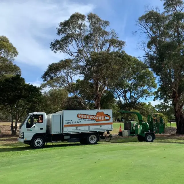 Bayside Treeworks cover