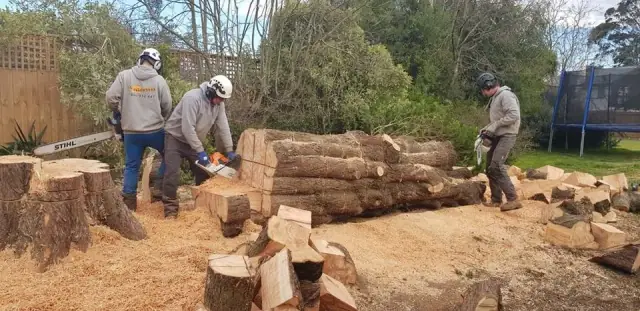 Bayside Treeworks