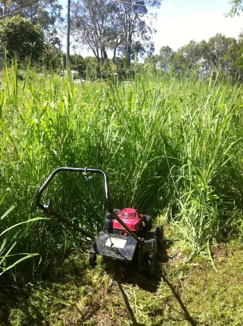 Beachs Lawn & mowing & Garden Care
