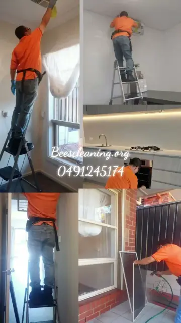 Bees Cleaning cover