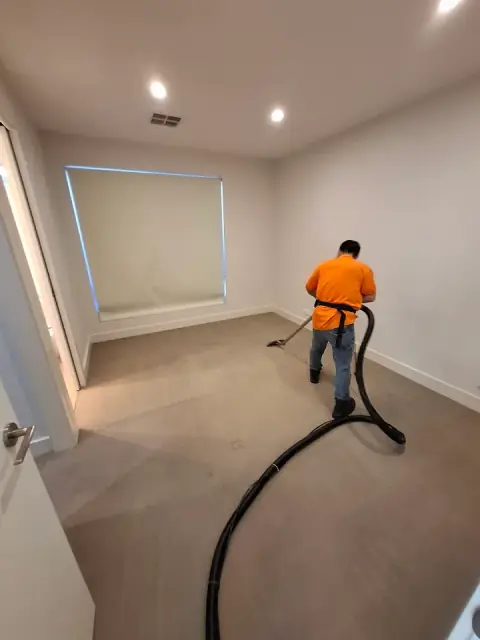 Bees Cleaning