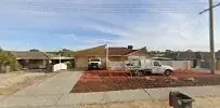 Bees Knees Pest Management WA