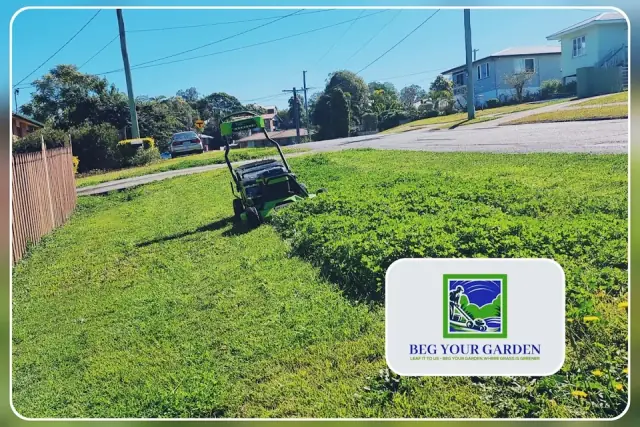 Beg Your Garden - Lawn and Garden Care