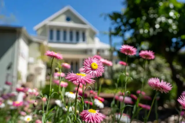 Ben's Gardens