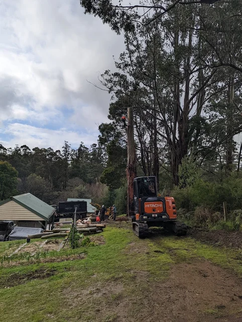 Beneficial Tree Care cover
