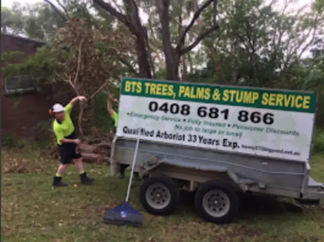 Bennett's Tree Service