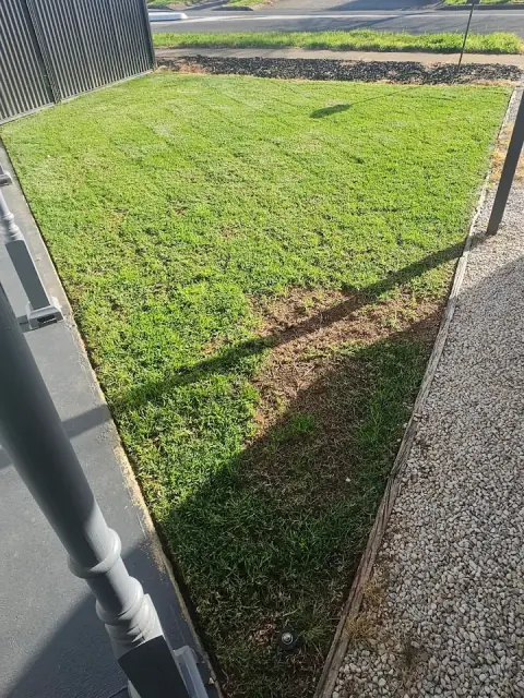 Berry Good Lawns cover