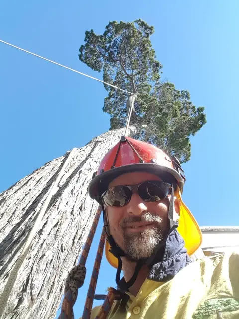 Bespoke Tree Care