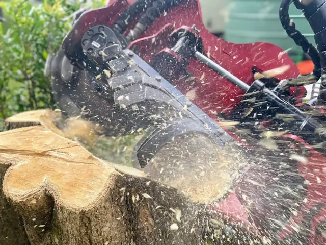 Big Paul's Stump Grinding cover