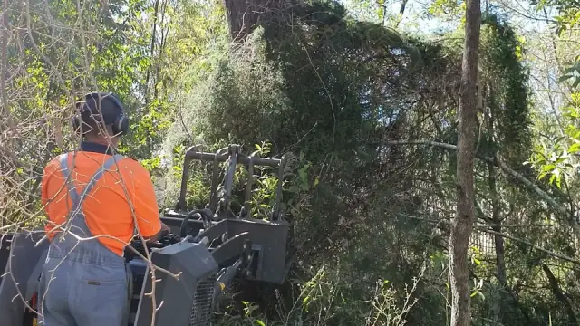 Big Rigs Yard Maintenance cover