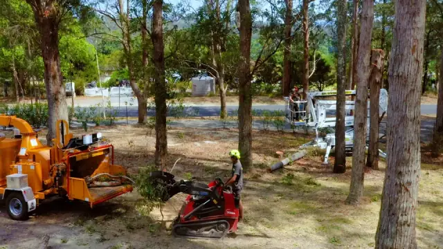 Big River Tree Service cover