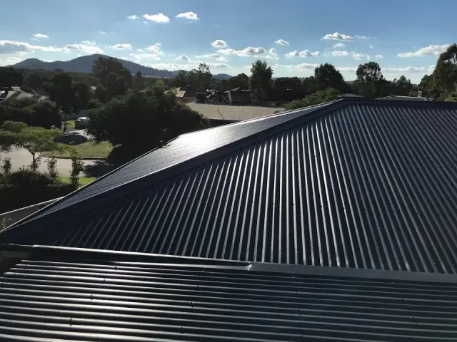 Bills Roof Painting cover