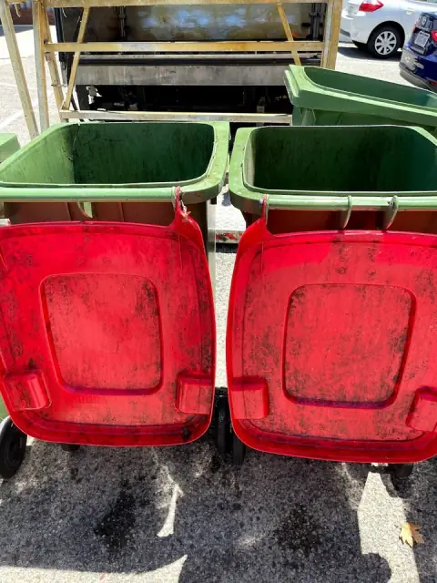 Bin Bath cover
