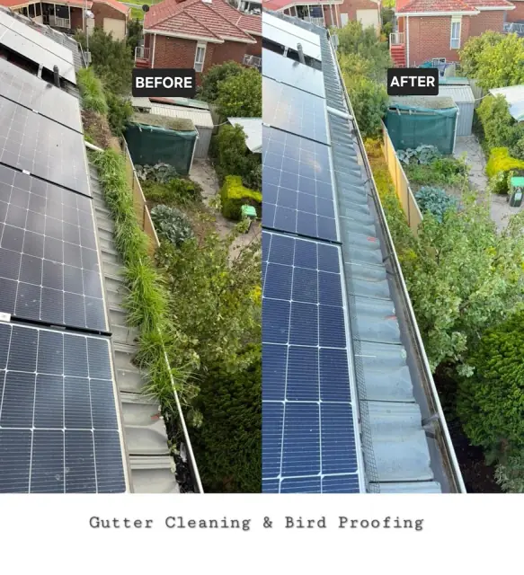 Bin's Gutter Cleaning and Solar Panels Bird Proofing cover