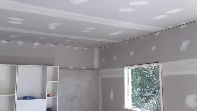 Bishops Plastering cover