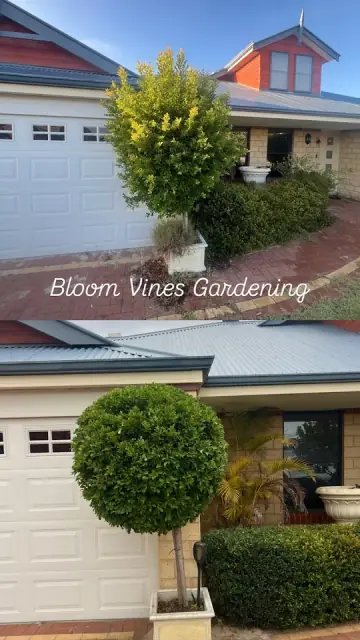 Bloom Vines Gardening cover