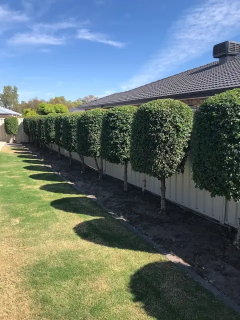 Blue Ute Garden Services