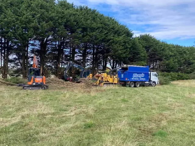 Blueys Tree Removals Pty Ltd cover