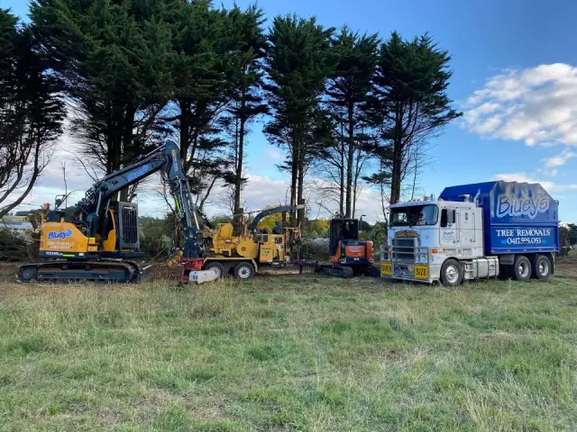Blueys Tree Removals Pty Ltd