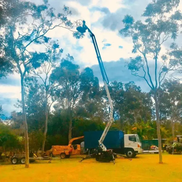 Boss Tree Services cover
