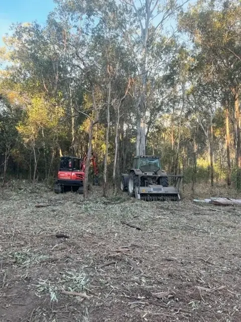 Boyne Island Tree Services