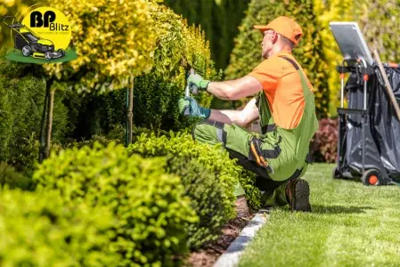 BP Blitz Garden Maintenance and Landscaping Services- Southern Adelaide