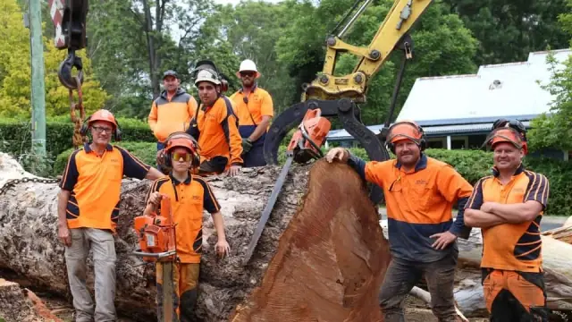 Brady Tree Service Pty Ltd