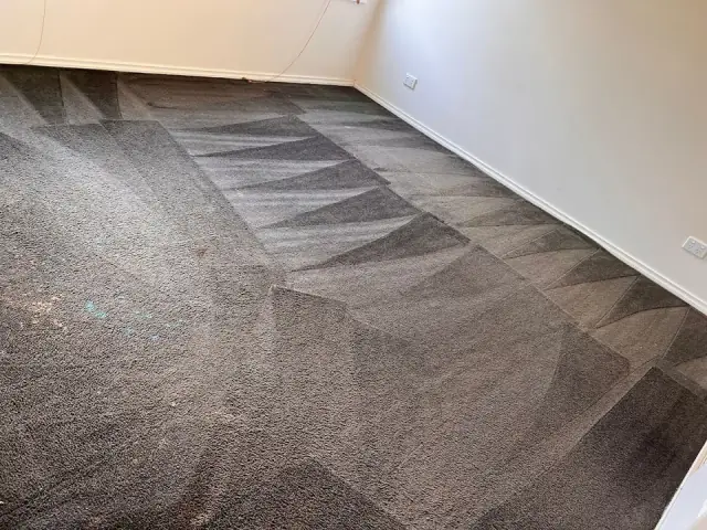 Bright and Cheap cover