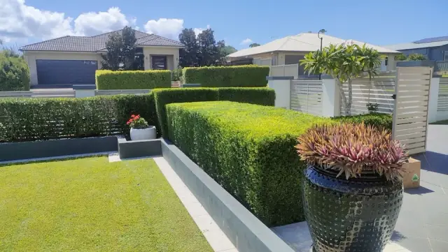 Brisbane Garden Service