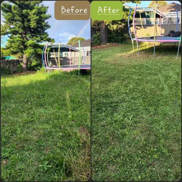 Brother's Lawn Solutions