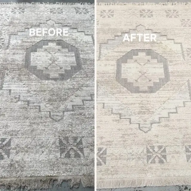 Brothers Rug Wash cover