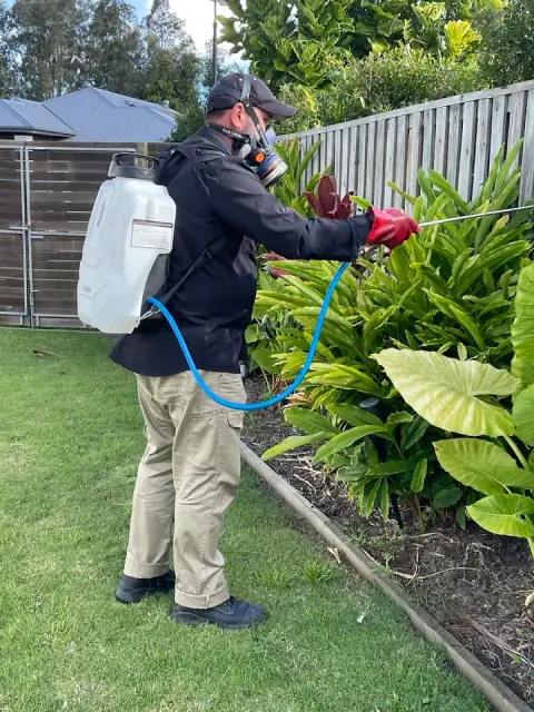 BUGGING OUT Termite & Pest Control Specialist cover