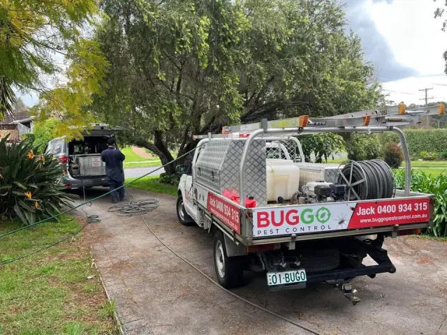 Buggo Pest Control cover