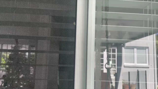 BugWise Pest Control Gold Coast cover