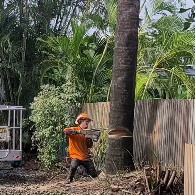 Bumble Bee Tree Services cover