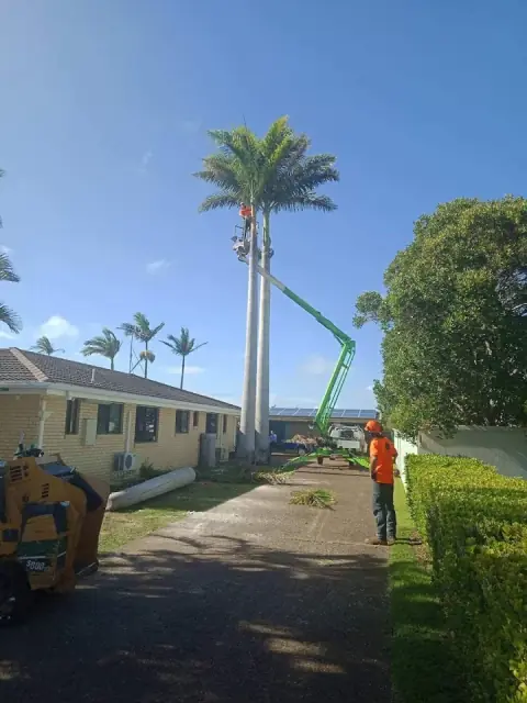 Bundy & Bargara Tree Service