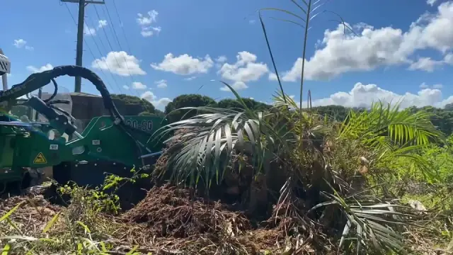 Byron Bay Stump Removal cover