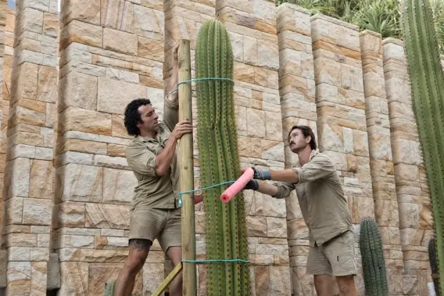 Cactus Culture Australia cover