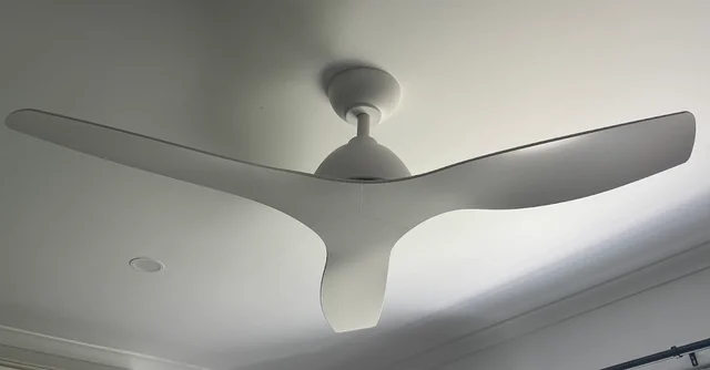 Cactus Electrical cover
