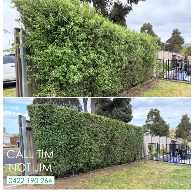 Call Tim Not Jim cover