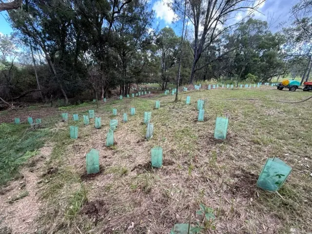 Cambium Land Management