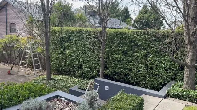 Canberra Hedge and Lawn cover