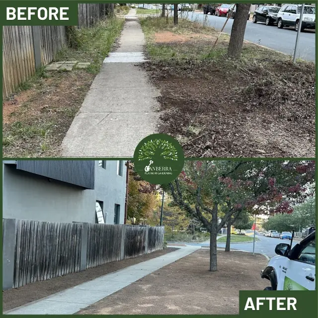 Canberra Platinum Gardening