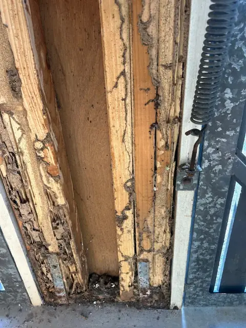 Canfield Pest Control cover