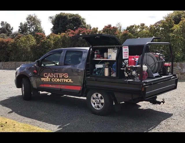 Cantips Pest Control