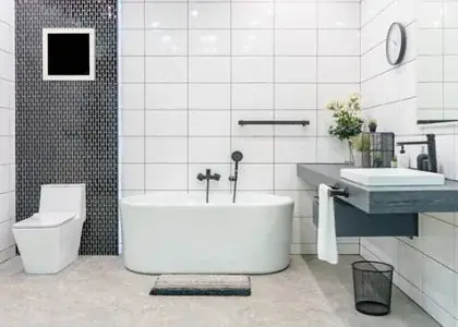 Captivate Plumbing cover