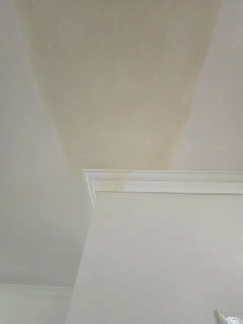 Carlaw Plastering Solutions cover
