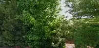Carolyn’s crazy cleaning, gardening and home maintenance Pty Ltd