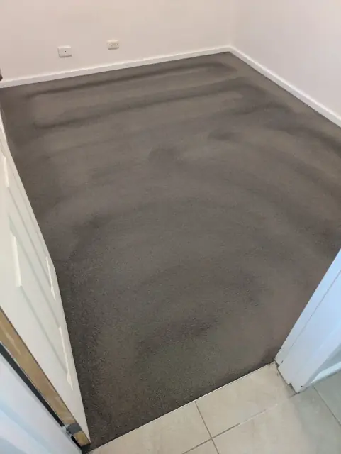Carpet Clean Magic cover