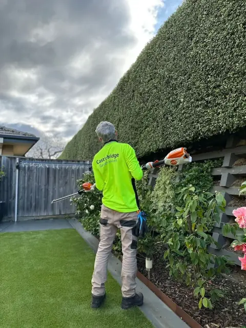 Castlebridge Garden Services
